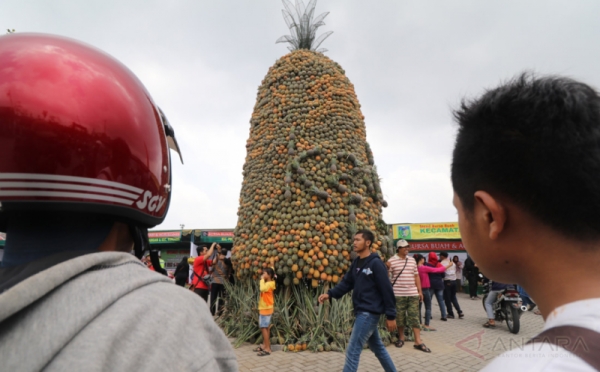 WOW!!! Dibutuhkan 10 Ribu Nanas untuk Bikin Gunungan Ini
