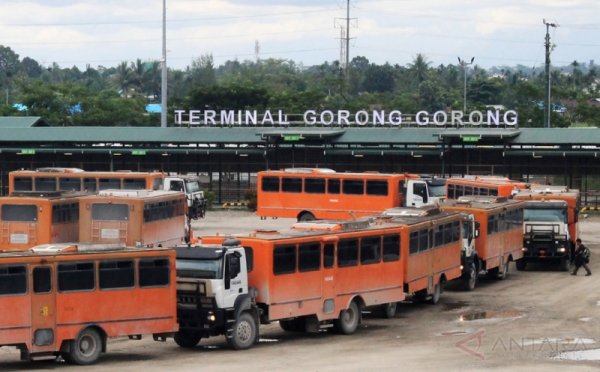 Begini Konvoi Bus Karyawan Freeport di Terminal Gorong Gorong Timika