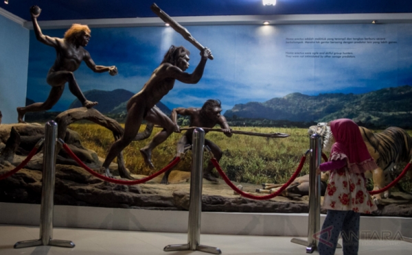 Mengenal Siklus Evolusi Manusia Lewat Museum Sangiran Sragen 0 Foto