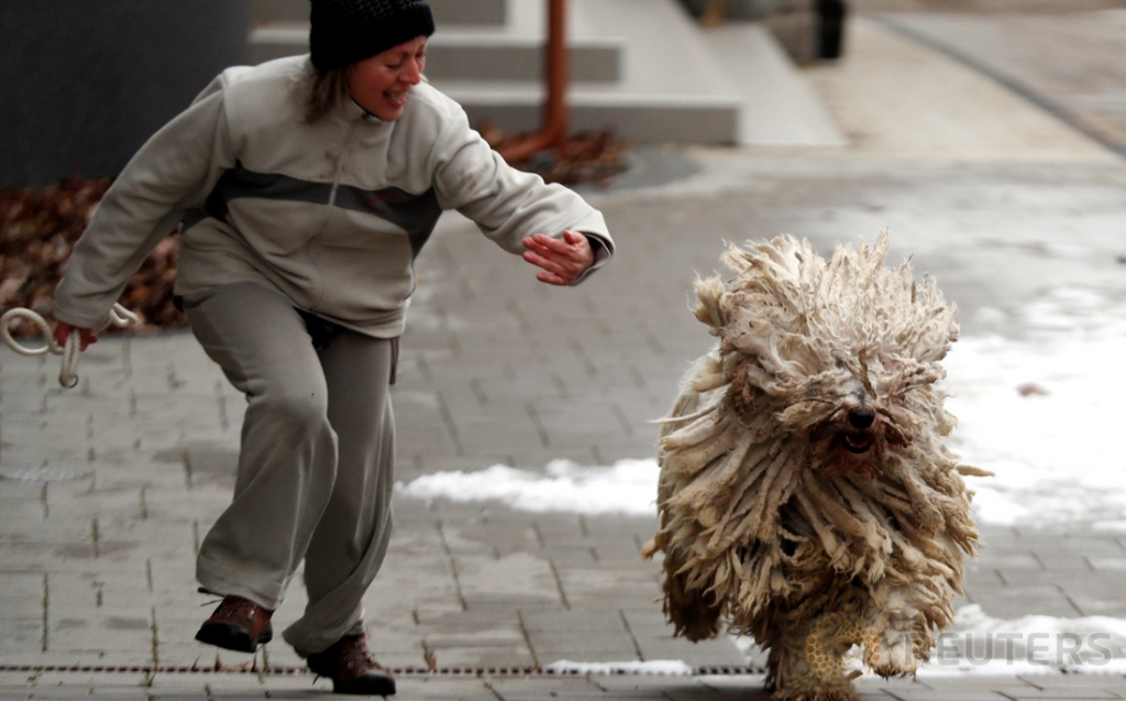 Xola bilan issiq jinsiy aloqa Ona jinsiy aloqa va ogil ekran kamera video