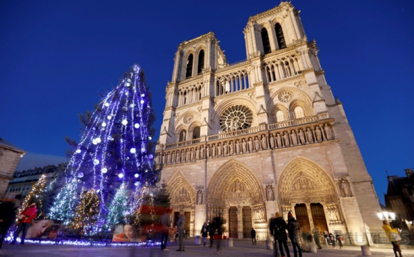 Pohon Natal  Raksasa di Depan  Gereja  Katedral Notre Dame de 