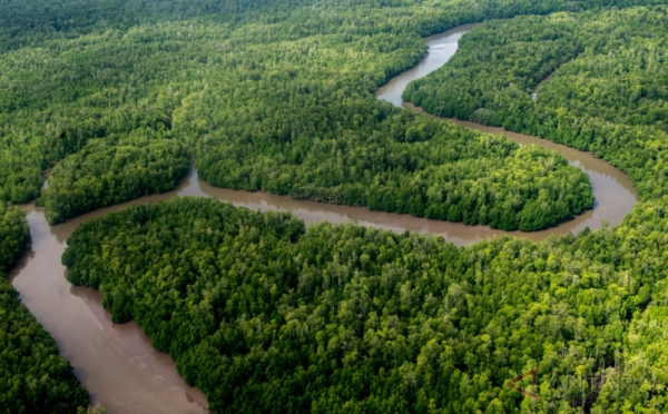 Indahnya Sungai Berkelok yang Membelah Hutan di Kabupaten Mimika Papua