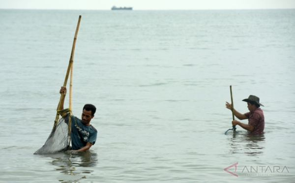 Penyempitan Pantai, Nelayan Makassar Keluhkan Sulitnya Mencari Kerang Laut