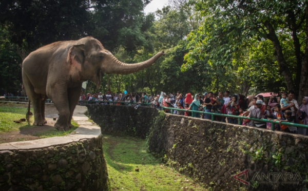 Taman Margasatwa Ragunan Dipadati Pengunjung pada Hari Kedua Lebaran