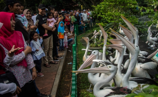 Taman Margasatwa Ragunan Dipadati Pengunjung pada Hari Kedua Lebaran