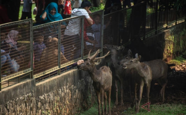 Taman Margasatwa Ragunan Dipadati Pengunjung pada Hari Kedua Lebaran