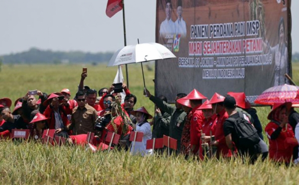 img-4