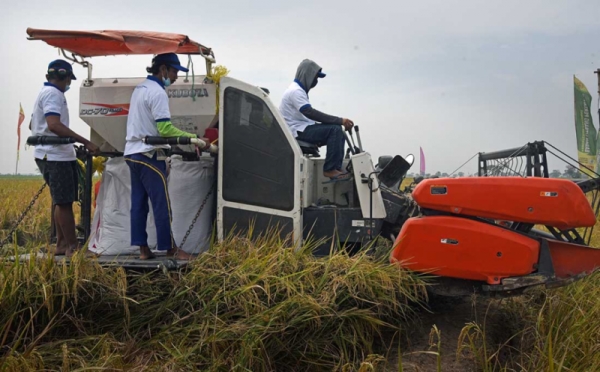 Mesin Padi Ini Bisa Hindari Kerumunan saat Pemberlakuan PPKM 0 : Foto Okezone Economy - Vimarsana News