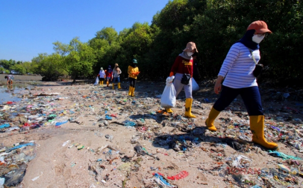 Aksi Mahasiswa Bebaskan Mangrove Dari Jeratan Sampah Plastik 0 Foto