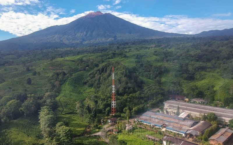 Agrowisata Kebun Teh dengan Latar Belakang Gunung Kerinci