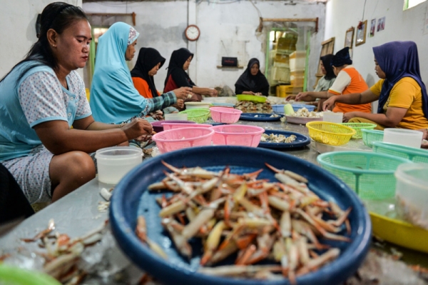 Ekspor Perikanan Nasional Melonjak: Optimisme Capai Lebih dari Rp88 Triliun
