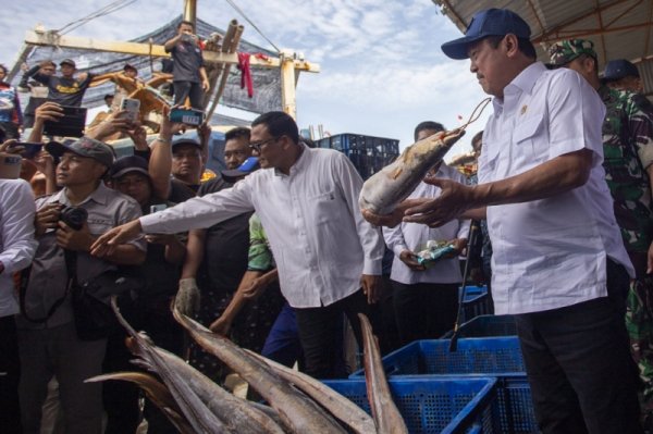 menteri-kelautan-dan-perikanan-cek-stok-ikan-di-tpi-karangsong