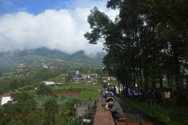 img-3