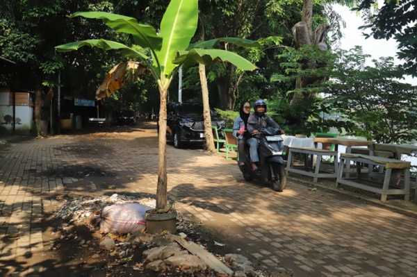 img-3