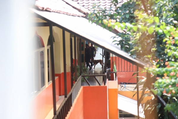 img-3