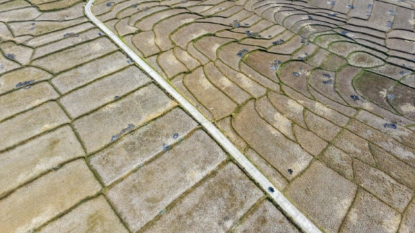 img-1
