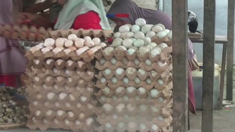 Harga Telur Dan Ayam Potong Naik Cabai Dan Bawang Turun Okezone Video