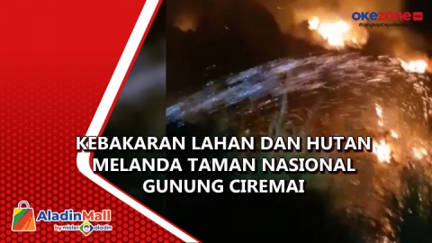 Kebakaran Lahan Dan Hutan Melanda Taman Nasional Gunung Ciremai ...