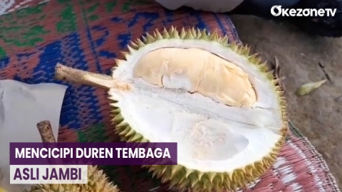 Wow! Duren Tembaga Asli Jambi Diserbu Pembeli, Rasanya Bikin Nagih