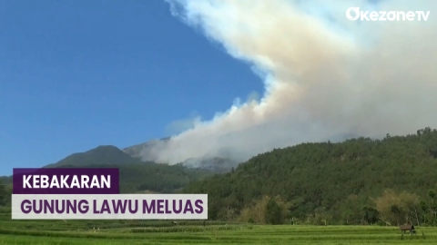 Kebakaran Hutan Gunung Lawu Meluas Ke Kawasan Magetan : Okezone Video