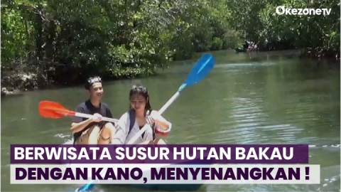 Serunya Berwisata Susur Hutan Bakau dengan Menggunakan Kano   