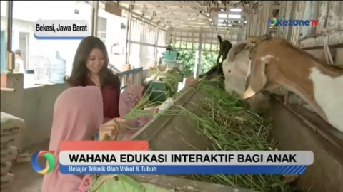 Rumah Cerita Seribu Pulau, Wahana Edukasi Interaktif bagi Anak