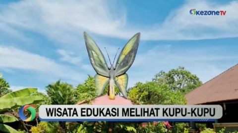 Wisata Edukasi Melihat dan Mengenal Ragam Kupu-Kupu