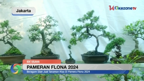 Berburu Pohon Bonsai pada Pameran Flora dan Fauna 2024 di Taman Lapangan Banteng