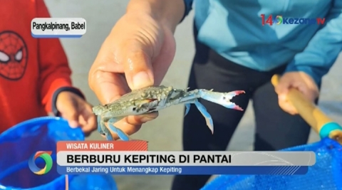 Sensasi Menangkap Kepiting saat Air Pantai Surut dan Langsung Masak di Tempat