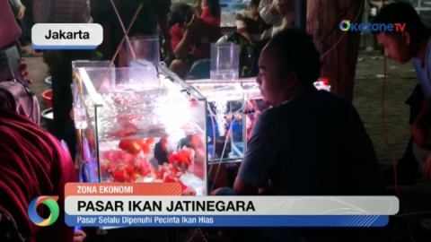 Pasar Ikan Hias Jatinegara Selalu Ramai Pembeli