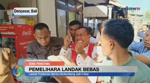 Jaksa Tuntut Bebas I Nyoman Sukena yang Pelihara Landak Jawa 