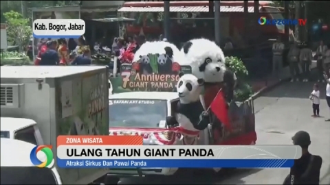 Kemeriahan HUT ke-14 Giant Panda di Taman Safari Indonesia